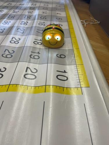 Wir arbeiten mit der Bee Bot im ZR 100 - 2.Kl