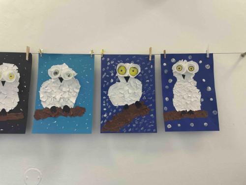 Schneeueulen 3.Kl.