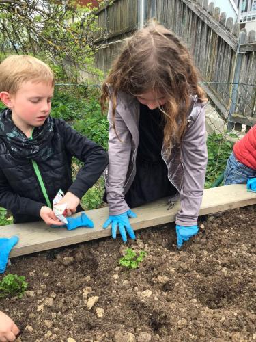 Projekt Schulgarten - 3. Kl