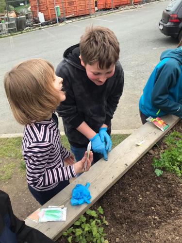 Projekt Schulgarten - 3. Kl